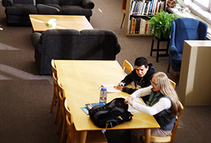 main library.jpg